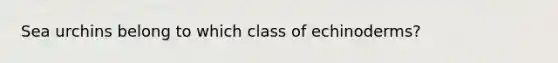 Sea urchins belong to which class of echinoderms?