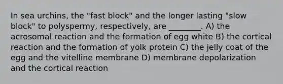 In sea urchins, the "fast block" and the longer lasting "slow block" to polyspermy, respectively, are ________. A) the acrosomal reaction and the formation of egg white B) the cortical reaction and the formation of yolk protein C) the jelly coat of the egg and the vitelline membrane D) membrane depolarization and the cortical reaction