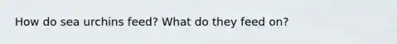 How do sea urchins feed? What do they feed on?