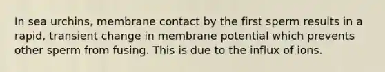 In sea urchins, membrane contact by the first sperm results in a rapid, transient change in membrane potential which prevents other sperm from fusing. This is due to the influx of ions.