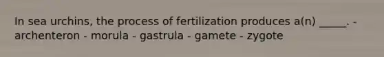 In sea urchins, the process of fertilization produces a(n) _____. - archenteron - morula - gastrula - gamete - zygote