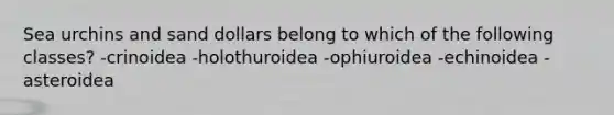 Sea urchins and sand dollars belong to which of the following classes? -crinoidea -holothuroidea -ophiuroidea -echinoidea -asteroidea