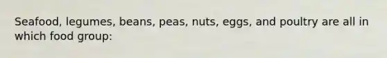 Seafood, legumes, beans, peas, nuts, eggs, and poultry are all in which food group: