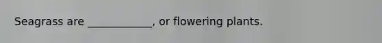 Seagrass are ____________, or flowering plants.