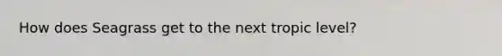 How does Seagrass get to the next tropic level?
