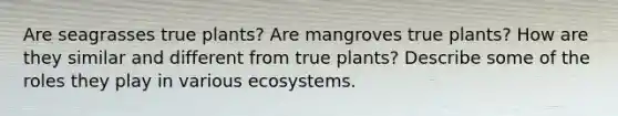 Are seagrasses true plants? Are mangroves true plants? How are they similar and different from true plants? Describe some of the roles they play in various ecosystems.