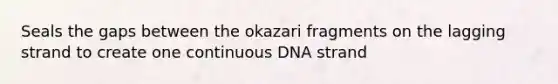 Seals the gaps between the okazari fragments on the lagging strand to create one continuous DNA strand