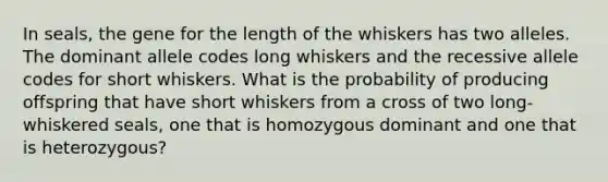 In seals, the gene for the length of the whiskers has two alleles. The dominant allele codes long whiskers and the recessive allele codes for short whiskers. What is the probability of producing offspring that have short whiskers from a cross of two long-whiskered seals, one that is homozygous dominant and one that is heterozygous?