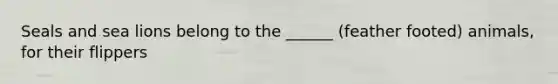 Seals and sea lions belong to the ______ (feather footed) animals, for their flippers