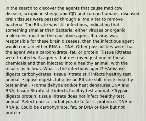 In the search to discover the agents that cause mad cow disease, scrapie in sheep, and CJD and kuru in humans, diseased brain tissues were passed through a Rne Rlter to remove bacteria. The Rltrate was still infectious, indicating that something smaller than bacteria, either viruses or organic molecules, must be the causative agent. If a virus was responsible for these brain diseases, then the infectious agent would contain either RNA or DNA. Other possibilities were that the agent was a carbohydrate, fat, or protein. Tissue Rltrates were treated with agents that destroyed just one of these chemicals and then injected into a healthy animal, with the results as follows. What is the infectious agent? •Amylase digests carbohydrates; tissue Rltrate still infects healthy test animal. •Lipase digests fats; tissue Rltrate still infects healthy test animal. •Formaldehyde and/or heat denatures DNA and RNA; tissue Rltrate still infects healthy test animal. •Trypsin digests protein; tissue Rltrate does not infect healthy test animal. Select one: a. carbohydrate b. fat c. protein d. DNA or RNA e. Could be carbohydrate, fat, or DNA or RNA but not protein.