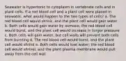 Seawater is hypertonic to cytoplasm in vertebrate cells and in plant cells. If a red blood cell and a plant cell were placed in seawater, what would happen to the two types of cells? a. The red blood cell would shrink, and the plant cell would gain water b. Both cells would gain water by osmosis; the red blood cell would burst, and the plant cell would increase in turgor pressure c. Both cells will gain water, but cell walls will prevent both cells from bursting d. The red blood cell would burst, and the plant cell would shrink e. Both cells would lose water; the red blood cell would shrivel, and the plant plasma membrane would pull away from the cell wall