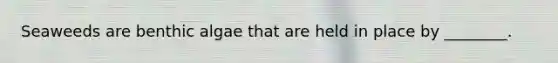 Seaweeds are benthic algae that are held in place by ________.