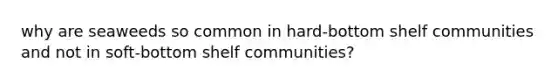 why are seaweeds so common in hard-bottom shelf communities and not in soft-bottom shelf communities?