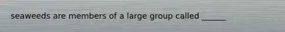 seaweeds are members of a large group called ______