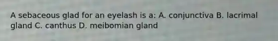 A sebaceous glad for an eyelash is a: A. conjunctiva B. lacrimal gland C. canthus D. meibomian gland