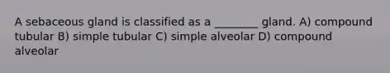 A sebaceous gland is classified as a ________ gland. A) compound tubular B) simple tubular C) simple alveolar D) compound alveolar
