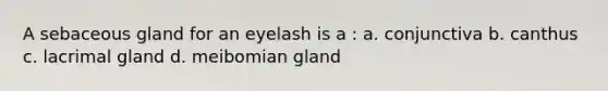 A sebaceous gland for an eyelash is a : a. conjunctiva b. canthus c. lacrimal gland d. meibomian gland