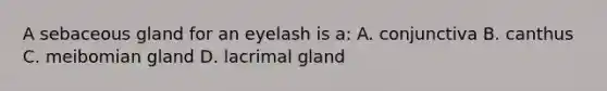 A sebaceous gland for an eyelash is a: A. conjunctiva B. canthus C. meibomian gland D. lacrimal gland