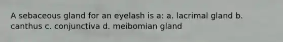 A sebaceous gland for an eyelash is a: a. lacrimal gland b. canthus c. conjunctiva d. meibomian gland