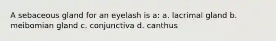 A sebaceous gland for an eyelash is a: a. lacrimal gland b. meibomian gland c. conjunctiva d. canthus