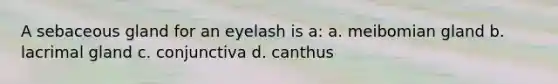 A sebaceous gland for an eyelash is a: a. meibomian gland b. lacrimal gland c. conjunctiva d. canthus