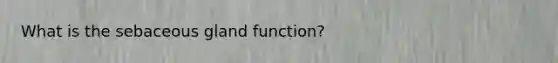 What is the sebaceous gland function?