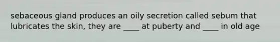 sebaceous gland produces an oily secretion called sebum that lubricates the skin, they are ____ at puberty and ____ in old age