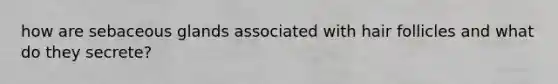 how are sebaceous glands associated with hair follicles and what do they secrete?