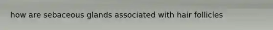 how are sebaceous glands associated with hair follicles
