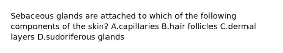 Sebaceous glands are attached to which of the following components of the skin? A.capillaries B.hair follicles C.dermal layers D.sudoriferous glands