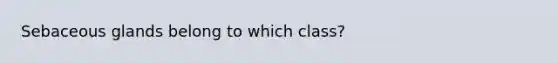 Sebaceous glands belong to which class?