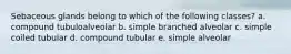 Sebaceous glands belong to which of the following classes? a. compound tubuloalveolar b. simple branched alveolar c. simple coiled tubular d. compound tubular e. simple alveolar