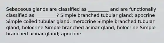 Sebaceous glands are classified as _________ and are functionally classified as _________? Simple branched tubular gland; apocrine Simple coiled tubular gland; merocrine Simple branched tubular gland; holocrine Simple branched acinar gland; holocrine Simple branched acinar gland; apocrine