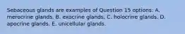 Sebaceous glands are examples of Question 15 options: A. merocrine glands. B. exocrine glands. C. holocrine glands. D. apocrine glands. E. unicellular glands.