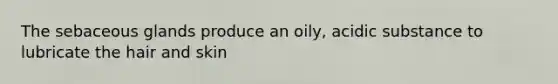 The sebaceous glands produce an oily, acidic substance to lubricate the hair and skin