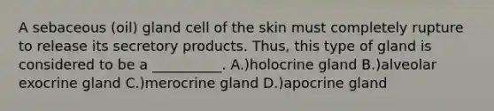 A sebaceous (oil) gland cell of the skin must completely rupture to release its secretory products. Thus, this type of gland is considered to be a __________. A.)holocrine gland B.)alveolar exocrine gland C.)merocrine gland D.)apocrine gland