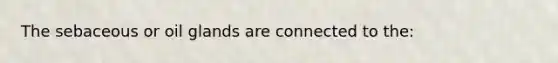 The sebaceous or oil glands are connected to the: