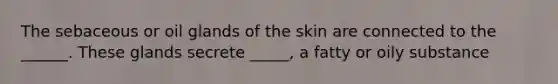 The sebaceous or oil glands of the skin are connected to the ______. These glands secrete _____, a fatty or oily substance