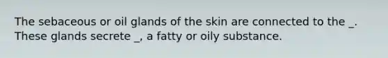 The sebaceous or oil glands of the skin are connected to the _. These glands secrete _, a fatty or oily substance.