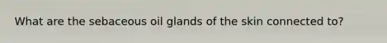 What are the sebaceous oil glands of the skin connected to?