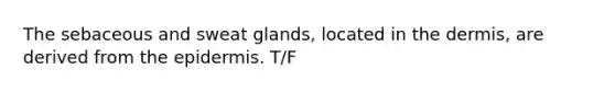 The sebaceous and sweat glands, located in the dermis, are derived from the epidermis. T/F