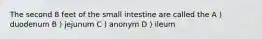 The second 8 feet of the small intestine are called the A ) duodenum B ) jejunum C ) anonym D ) ileum