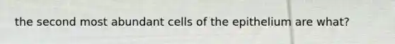 the second most abundant cells of the epithelium are what?