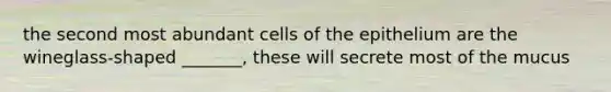 the second most abundant cells of the epithelium are the wineglass-shaped _______, these will secrete most of the mucus