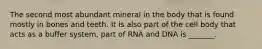 The second most abundant mineral in the body that is found mostly in bones and teeth. It is also part of the cell body that acts as a buffer system, part of RNA and DNA is _______.