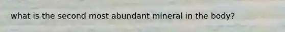 what is the second most abundant mineral in the body?