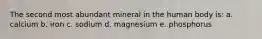 The second most abundant mineral in the human body is: a. calcium b. iron c. sodium d. magnesium e. phosphorus