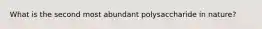 What is the second most abundant polysaccharide in nature?