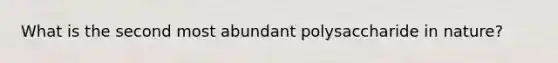 What is the second most abundant polysaccharide in nature?