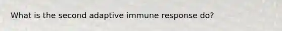 What is the second adaptive immune response do?